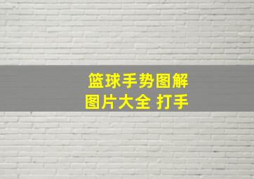 篮球手势图解图片大全 打手